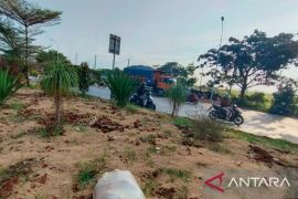 Anggaran pemeliharaan taman median jalan di Karawang mencapai Rp781 juta