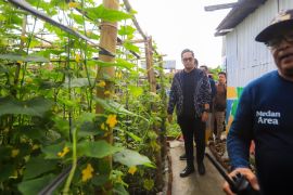 Wali Kota Medan minta  setiap kelurahan manfaatkan lahan tidur