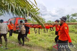Basarnas dan BPBD evakuasi lansia hilang di hutan Aceh Barat