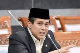 Anggota DPR serukan penanganan komprehensif pascabanjir Bali