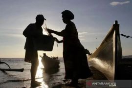 KKP pastikan program KNMP hingga swasembada garam berjalan baik