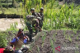 Satgas Yonif 521/DY bagikan bibit tanaman hortikultura ke warga Yahukimo