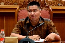 Dekopinda Kotim minta pemda kawal tuntas realisasi plasma