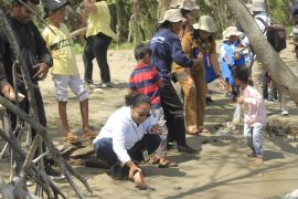 Pelepasliaran Tukik di Kupang Page 3 Small