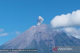 Semeru empat kali erupsi, letusan hingga 800 meter