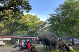 Taman Remaja Bengkulu, dari ikon rekreasi warga ke ruang terbengkalai