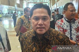 Menteri BUMN prihatin terkait 7 pekerja Freeport yang terjebak longsor