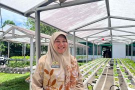 Pemkab Batang Hari telah terima bantuan benih padi