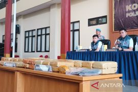 Polres Metro Jakpus tangkap pengedar ganja