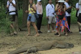 Wagub NTT usulkan adanya dana bagi hasil dari Taman Nasional Komodo