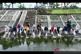 Pemkab Bandung tebar ribuan benih ikan mendukung Program MBG dan Kopdes