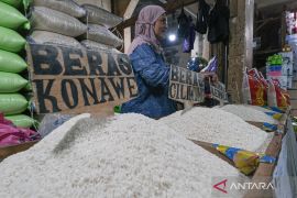 Harga beras medium turun jadi Rp13.675 per kg