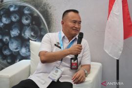 MBG dongkrak perekonomian lokal di NTB