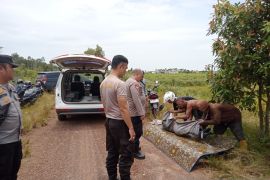 Seorang petani di Bangka Selatan tewas diterkam buaya