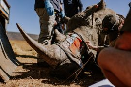 China akan gelar Kongres Cagar Biosfer Dunia ke-5 di Hangzhou