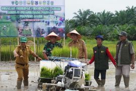 TNI-Pemda Jambi bersinergi dukung program swasembada pangan