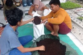 Komunitas Urban Farming di Lebak produksi pupuk kandang dan media tanam