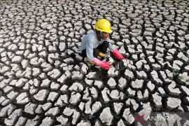 Pemanfaatan lumpur tinja untuk pupuk organik