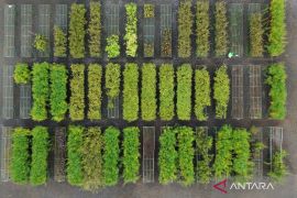 IMI ajak adopsi teknologi bersih untuk hapus stigma dirty nickel