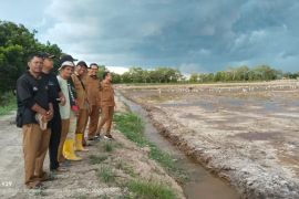 Swasembada pangan, Serdang Bedagai makin ngebut cetak sawah mandiri