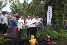 BI Babel-Pemkab Bangka Tengah resmikan klaster perikanan air tawar