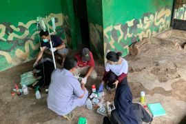 Beruang Madu hasil  evakuasi BKSDA Jambi lahirkan seekor anak