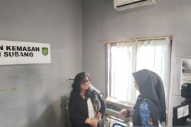 Komisi VII DPR: Jadikan PLUT KUMKM program strategis kembangkan UMKM