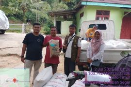 APBN benih padi 274 hektare dorong peningkatan ketahanan pangan Sawahlunto