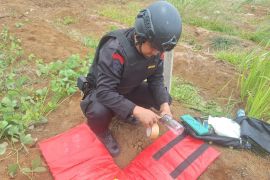 Brimob Polda Sumut musnahkan  satu mortir di Tapanuli Selatan