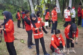 PMI Batang tanam seribu bibit mangrove dan gelar donor darah