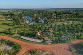 PT Timah reklamasi 75,52 hektare lahan bekas tambang di Babel