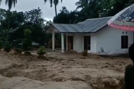 18 desa di Nagekeo terisolasi banjir bandang, BNPB percepat evakuasi