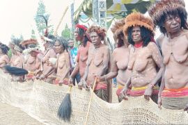 Transaksi Festival Budaya Lembah Baliem ke-33 capai Rp7,8 miliar