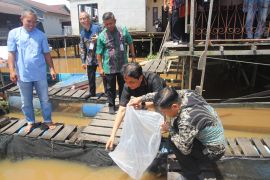 Pemkot Pontianak salurkan 10 ribu benih ikan ke kelompok pembudidaya
