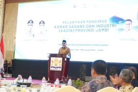 Provinsi Jambi sebut Kadin mitra strategis dorong investasi daerah