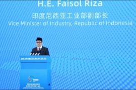 Wamenperin tekankan komitmen pacu industrialisasi di forum BRICS