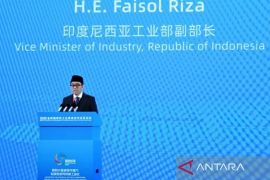 Wamenperin tekankan komitmen RI pacu industrialisasi di forum BRICS