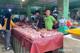 Harga daging ayam broiler di Pangkalpinang naik