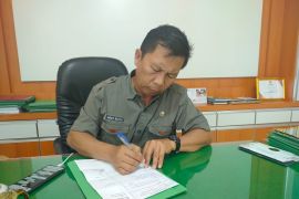 Produksi padi di Agam capai 192.411 ton selama delapan bulan