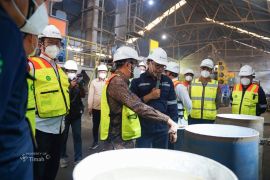 Kemendiktisaintek siapkan teknologi kelola logam tanah jarang