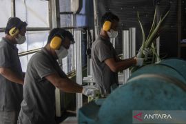 Active grenade found after deadly Papua blast: police