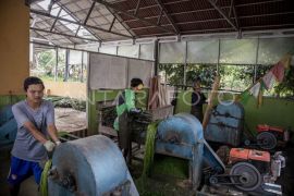 Pemanfaatan limbah daun nanas menjadi produk bernilai ekspor Page 3 Small