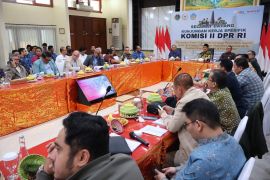 Gubernur Bali manfaatkan pertemuan dengan DPR buat minta OSS ditinjau