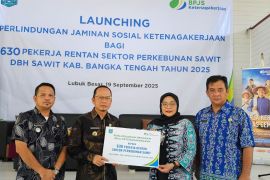 Bangka Tengah luncurkan perlindungan jaminan sosial bagi 630 pekerja sawit melalui DBH Sawit 2025