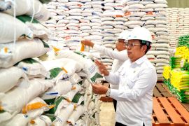 Indonesia boosts rice reserve quality to secure food supply