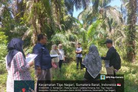 Kantor Pertanahan Pasaman dampingi pemeriksaan setempat perkara perdata di Kecamatan Tigo Nagari
