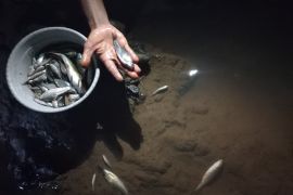 Ikan-ikan di Sungai Cikembang Manonjaya mati picu kekhawatiran warga
