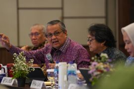 ISEI: RI perlu tumbuh 6-7 persen hingga 2045 capai pendapatan tinggi