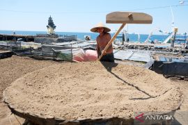 Desa Les, dari swasembada garam menjadi pariwisata dunia