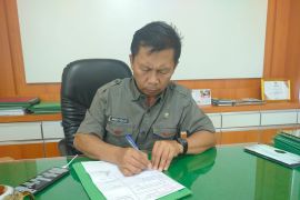 Agam dapat program rehabilitasi sawah terdampak bencana 311 hektare